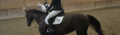 Gaia_Vincenzi_JPG_Competitions_Cislago