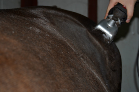Icona_dei_ronchi_hair_cut