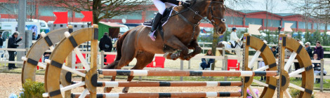Gaia Vincenzi_Icona_dei_Ronchi_Truccazzano_115
