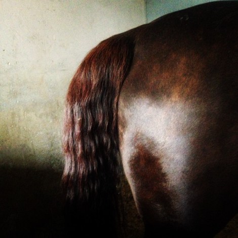 Icona_dei_Ronchi_tail