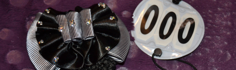 hairclip_&_competition_number