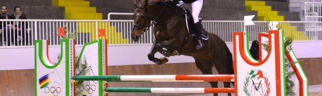 Gaia Vincenzi Icona dei Ronchi MVR Pala Show Jumpers Vermezzo