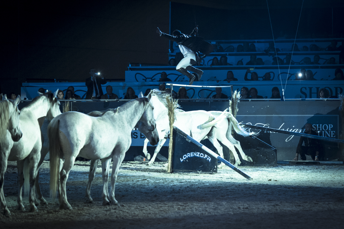 Gaia Vincenzi Fiera Cavalli Verona Jumping Opera Gala