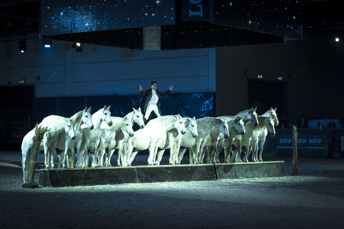 Gaia Vincenzi Fiera Cavalli Verona Jumping Opera Gala